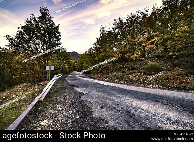 Road to Puerto de La Quesera one autumn morning. Riofrío de Riaza. Segovia. The road to Puerto de la Quesera is a paved road uphill