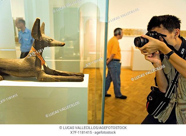 Museum Island Neues Museum  Figure of reclining jackal 600 aDC Egyptian art  Berlin  Germany