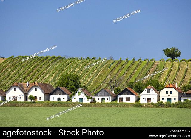 Traditional wine cellars street in Diepolz near Mailberg, Lower Austria, Austria