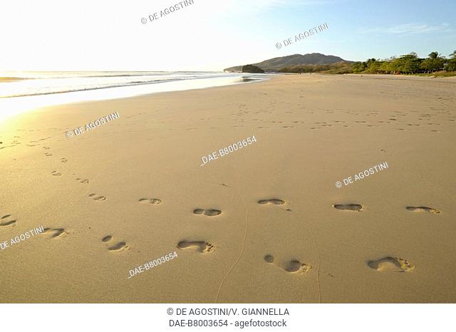 Sunset on Playa Grande beach, footprints on the beach, near Tamarindo, Guanacaste, Costa Rica