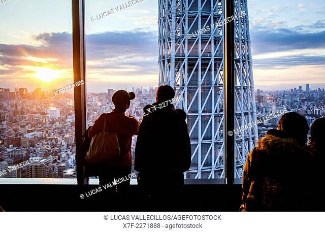 Sunset, detail of Skytree tower and northern skyline of the city, Tokyo, Japan