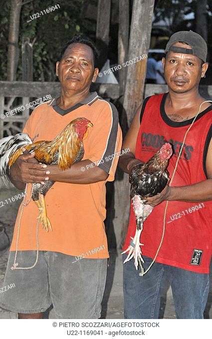 Dili (East Timor): fighting roosters' owners in the Leicidere neighborhood