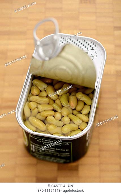 Flageolet beans in a tin