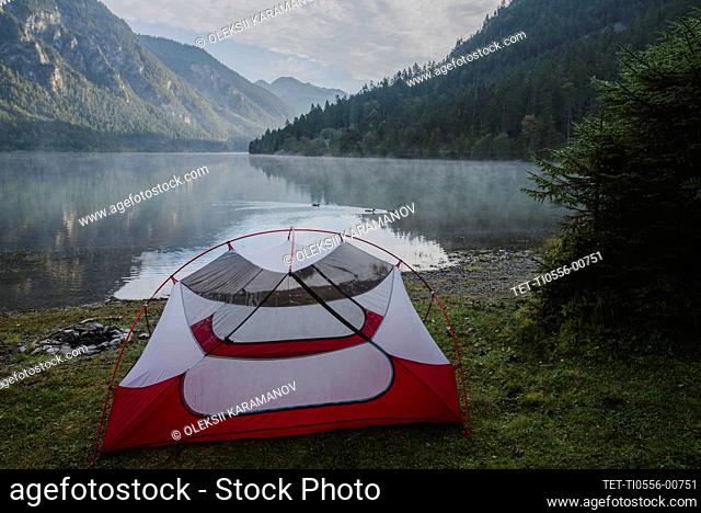 Austria, Plansee, carpa por el lago Plansee en los Alpes austríacos al amanecer