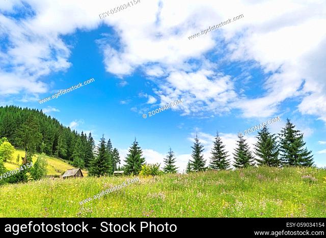 Amazing summer landscape with the Carpathians mountains and its meadows full of flowers, wooden cottages, and forests, under a sky with white clouds