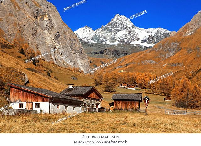 Austria, East Tyrol, Kals am Grossglockner, Huteralm and Luckner hut with Grossglockner