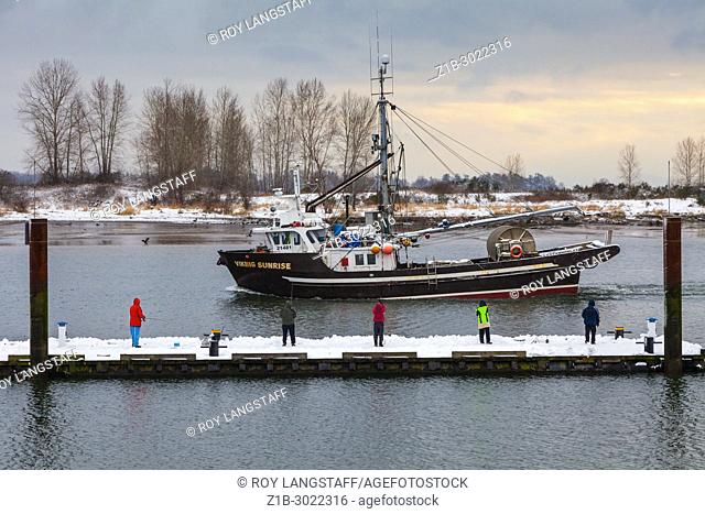 People fishing from a floating dock on the banks of the Fraser River in Steveston. British Columbia. Canada