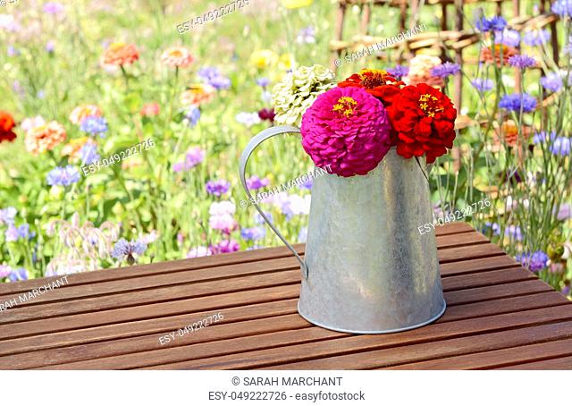 Pink and red zinnias arranged in a rustic metal pitcher, standing on a wooden table with blooming flowers beyond