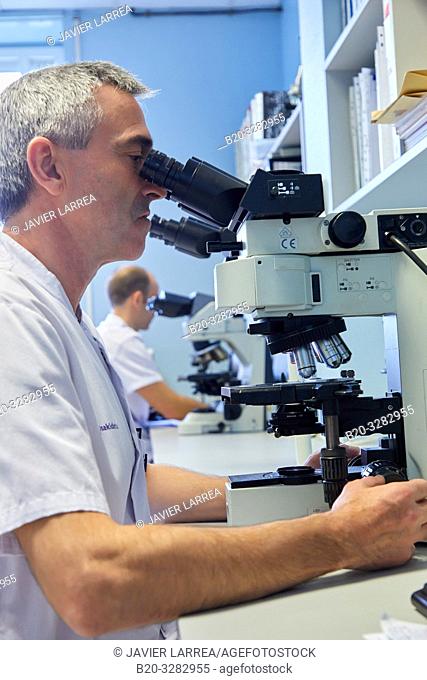 Analysis of samples in a microscope, Clinical analysis, Hematology, Hospital Donostia, San Sebastian, Gipuzkoa, Basque Country, Spain