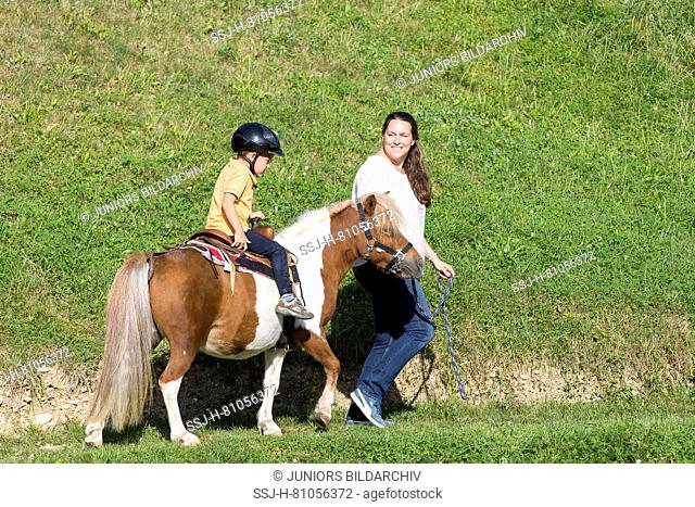 Shetland Pony. Woman leading pony with kid on horseback. Austria