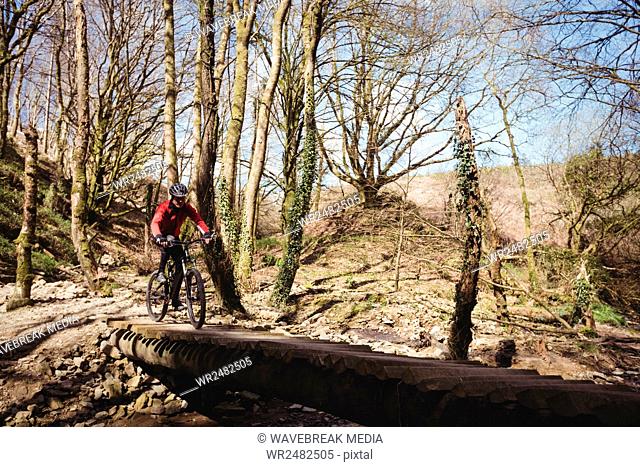 Mountain biker on footbridge in forest