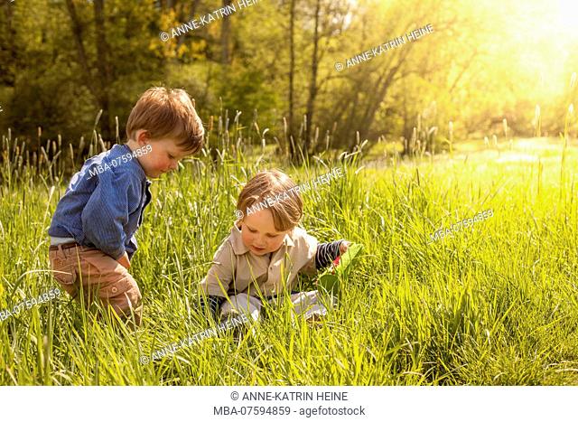 Brothers sitting in grass laughing, Hennef-Lichtenberg, Germany