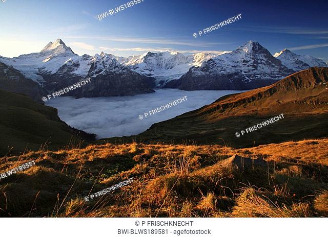 mist at foot of First, Schreckhorn, 4078 m, Finsteraarhorn, 4274 m, Fiescherwand, 4048 m, Eiger, 3974 m, Jungfrau, 4158m, Switzerland, Bernese Oberland
