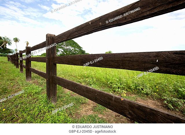 Surrounds in Rural Property, Corumbá, Mato Grosso do Sul, Brazil