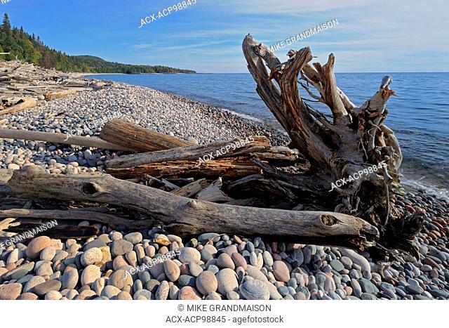 Driftwood along Pebble Beach on Lake Superior Marathon Ontario Canada