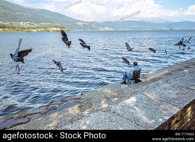 Pigeons in flight in front of a lake with an angler on the shore, Lake Pamvotida, Ioannina, Greece, Europe