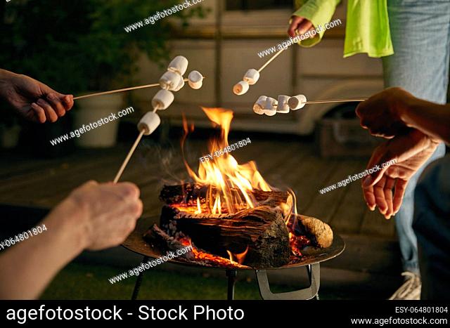 Closeup roasted marshmallows on skewers over open camping bonfire. Friends cooking together delicious snack enjoying time outdoors
