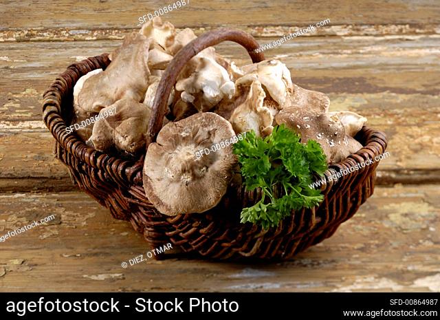 Shiitake mushrooms in a basket