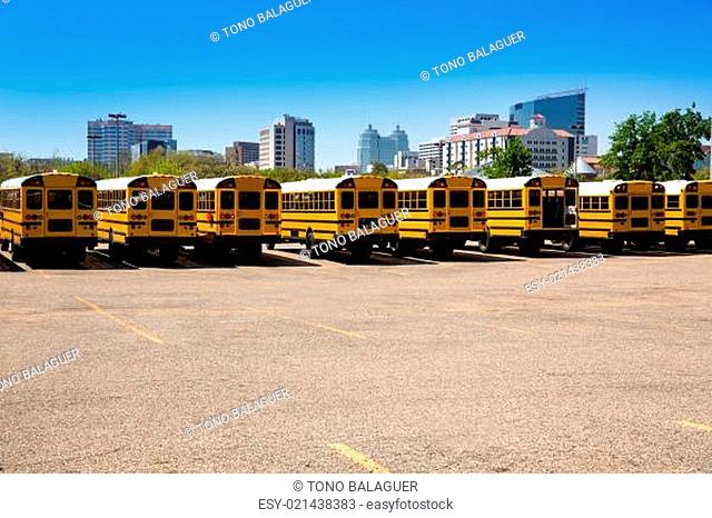 American typical school bus rear view in Houston