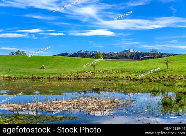 Germany, Bavaria, Upper Bavaria, Pfaffenwinkel, Habach, pond at the Fuchsgrube against the foothills of the Alps with Herzogstand and Heimgarten