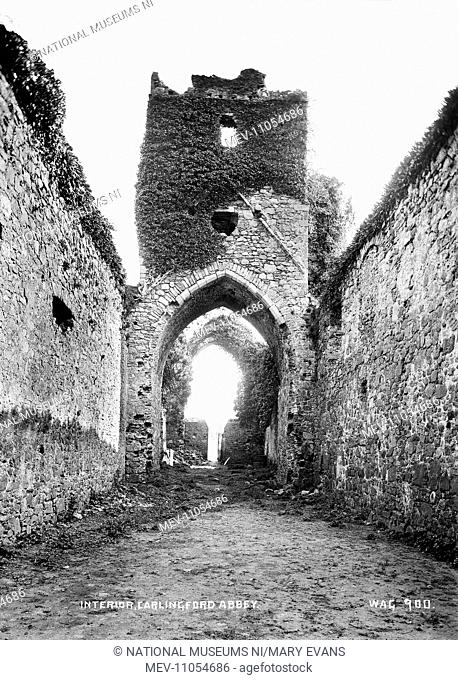 Interior, Carlingford Abbey - an interior view showing archways and tower. (Location: Republic of Ireland: County Louth: Carlingford)