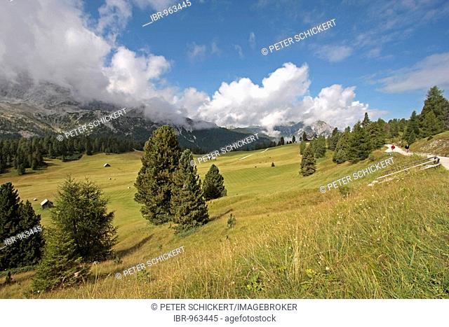 Prato Piazza, a high plateau in the Dolomites in the Fanes-Senes-Prags Nature Park, Alto Adige, Italy, Europe