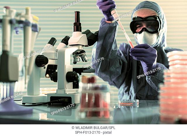 Person wearing protective clothing working in a microbiology laboratory
