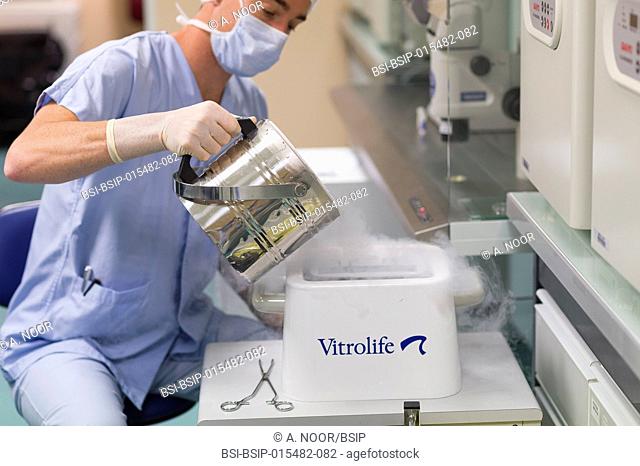 Reportage in the reproductive biology service in Nice hospital, France. In the ART (assisted reproductive technology) lab. Embryonic vitrification