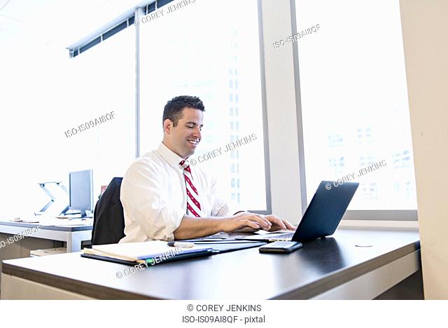 Business lawyer using laptop in office
