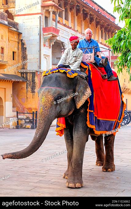 Decorated elephant with tourist walking in Jaleb Chowk (main courtyard) in Amber Fort, Rajasthan, India. Elephant rides are popular tourist attraction in Amber...