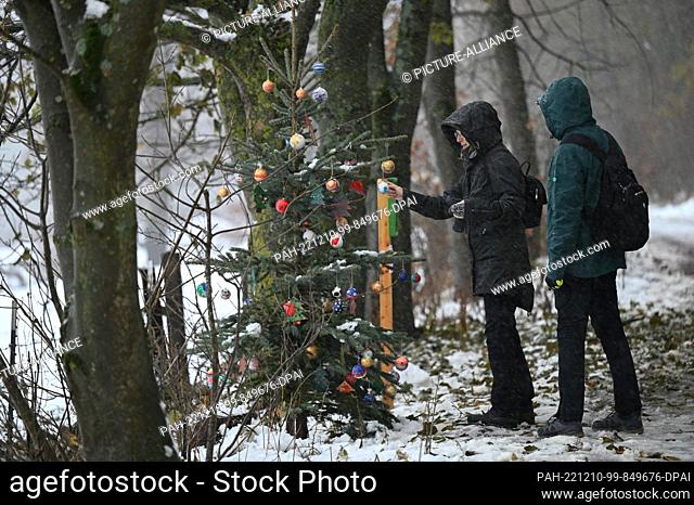 PRODUCTION - 07 December 2022, Hessen, Kassel: Hikers look at a decorated Christmas tree in the Habichtswald forest. Along the 3