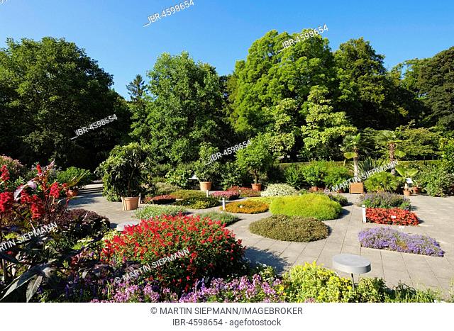Lower garden, Botanical Garden Augsburg, Swabia, Bavaria, Germany
