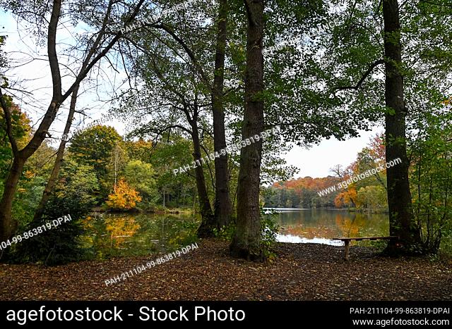 26 October 2021, Brandenburg, Schönwalde: View of the castle pond of Dammsmühle Castle in the nature reserve of the Mühlenbeck Lakes