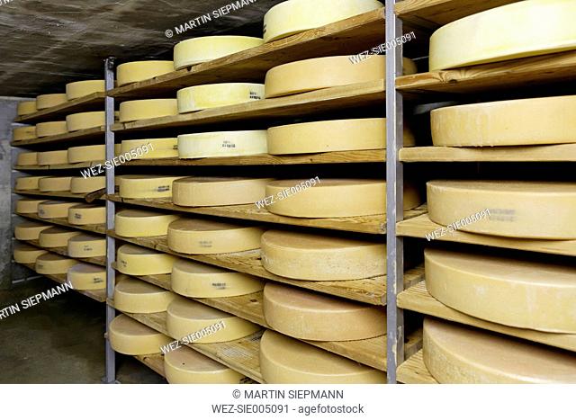 Austria, Vorarlberg, Egg, Schetteregg, Alpine dairy, cellar with alpine cheese