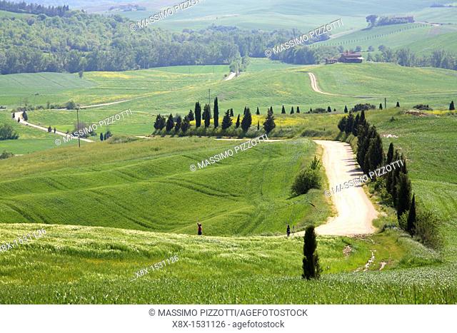 Dirt road in Val d'Orcia, Tuscany, Italy