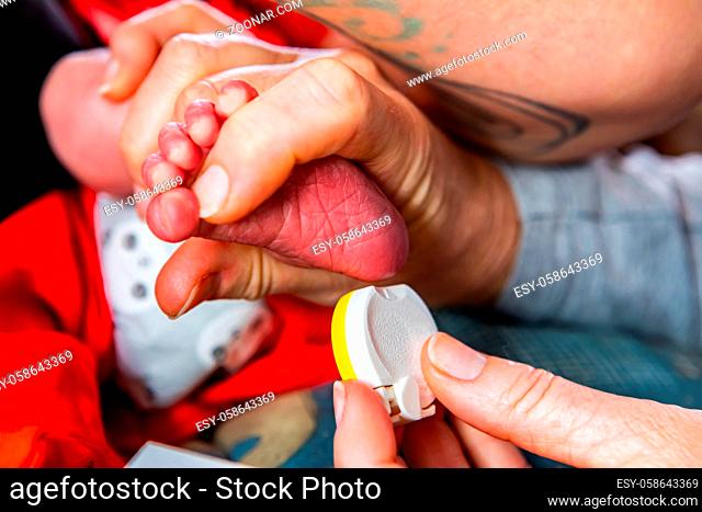 A close up shot on the hands of a midwife collecting blood from newborn baby, using a small prick on foot to check for health conditions and disease