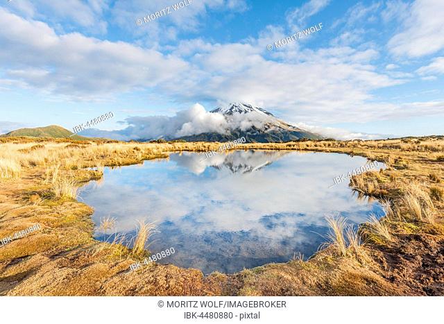 Reflection in Pouakai Tarn, stratovolcano Mount Taranaki or Mount Egmont, cloudy sky, Egmont National Park, Taranaki, New Zealand