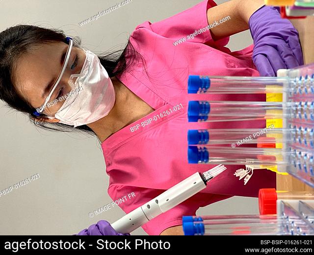 Woman injecting a substance into a tube using a multichannel pipette