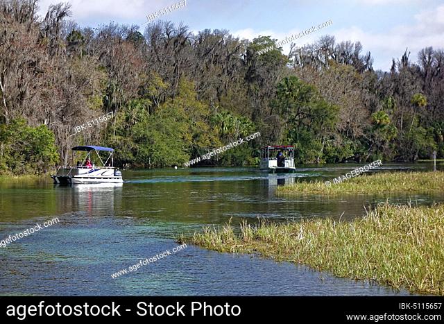 River landscape, reeds, boats, trees with Spanish moss or (Tillandsia usneoides), Rainbow River, Rainbow Springs State Park, Dunnelon, Florida, USA