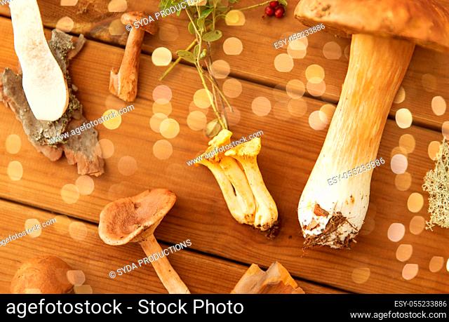 different edible mushrooms on wooden background