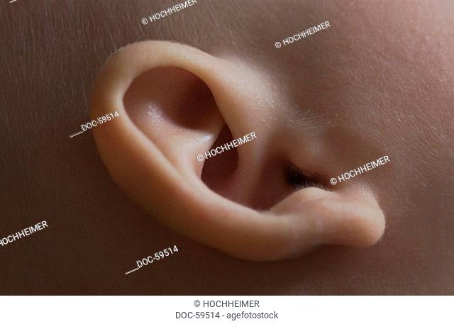 close up - ear of a baby