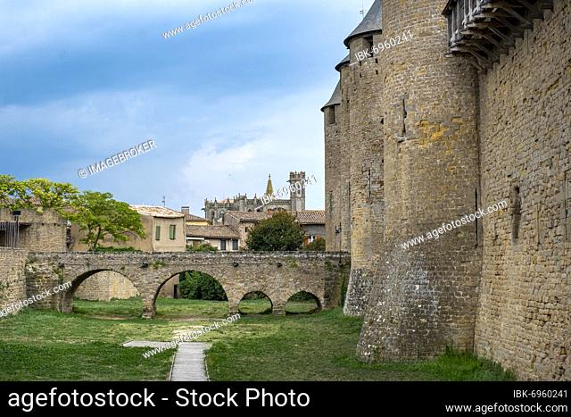 La Cite, medieval fortified city of Carcassonne, UNESCO World Heritage Site, Languedoc-Roussillon, South of France, France, Europe