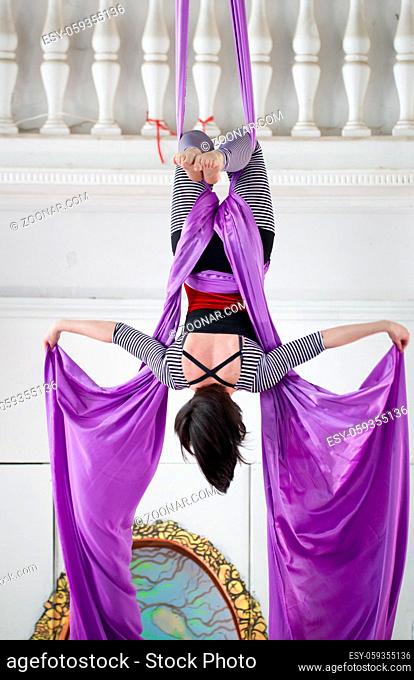 Back of young woman hangs upside down on the aerial silk in a bright studio