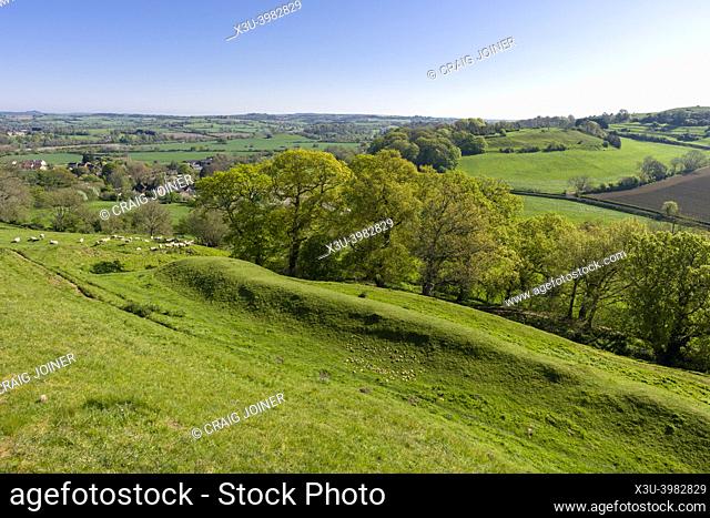 The ramparts of Cadbury Castle, a bronze and iron age hillfort known locally as King Arthurâ. . s Camelot. South Cadbury, Somerset, England
