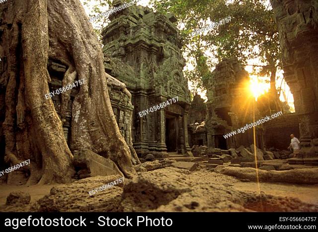 The Temple of Ta Prohm in the Temple City of Angkor near the City of Siem Reap in the west of Cambodia. Cambodia, Siem Reap, February, 2001