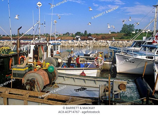 Fishing boats, Saint-Godefroi, Quebec, Canada