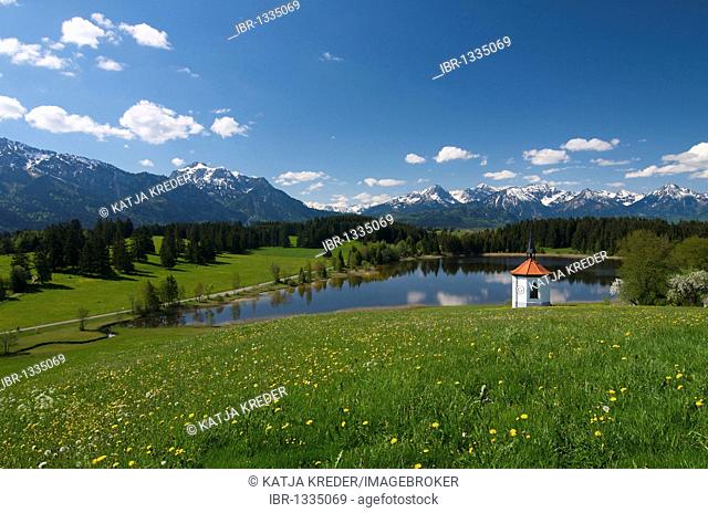 Hergratsrieder Lake, Ostallgaeu, Allgaeu, Bavaria, Germany, Europe