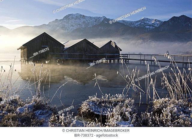 Boathouses, frost-covered reeds on the shore of the Kochelsee (Lake Kochel) enshrouded in mist, Bavarian pre-Alps, Upper Bavaria, Bavaria, Germany, Europe