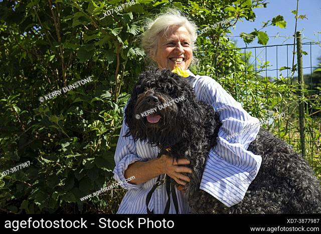 Europe, Luxembourg, Septfontaines, Attractive Older woman sitting with her Pet Portuguese Water Dog