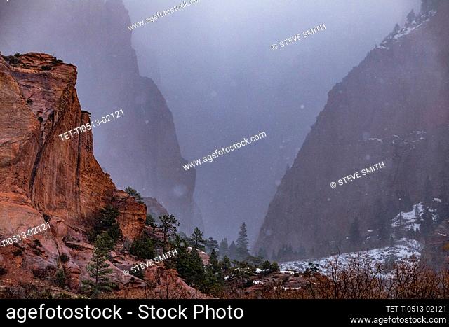 United States, Utah, Zion National Park, Mist in Kolob Canyon section of Zion National Park
